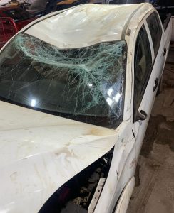 WhatsApp Image 2025-06-19 at 10.36.42